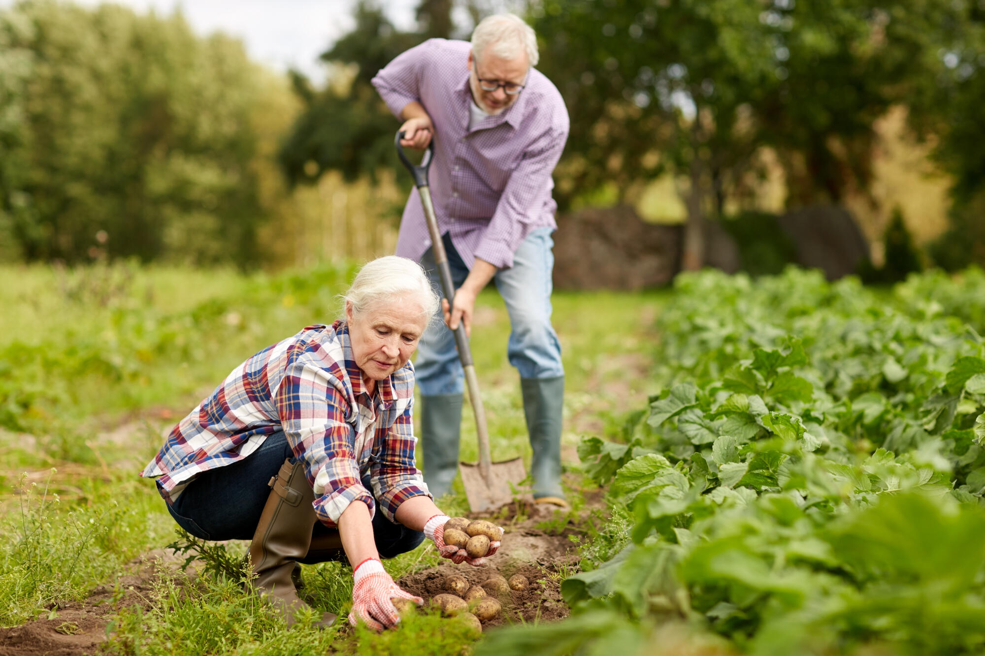 Why Older Adults Love Community Gardening