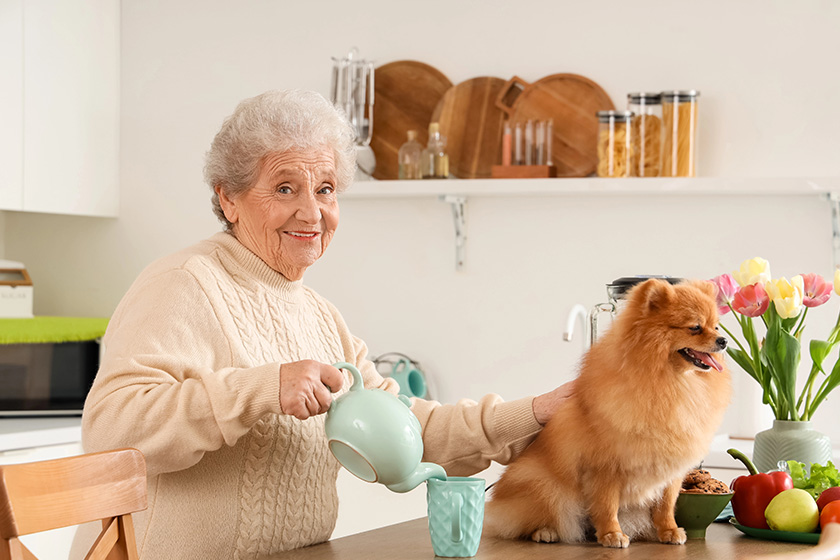 A Guide To Pet-Friendly Assisted Living In Marietta, GA