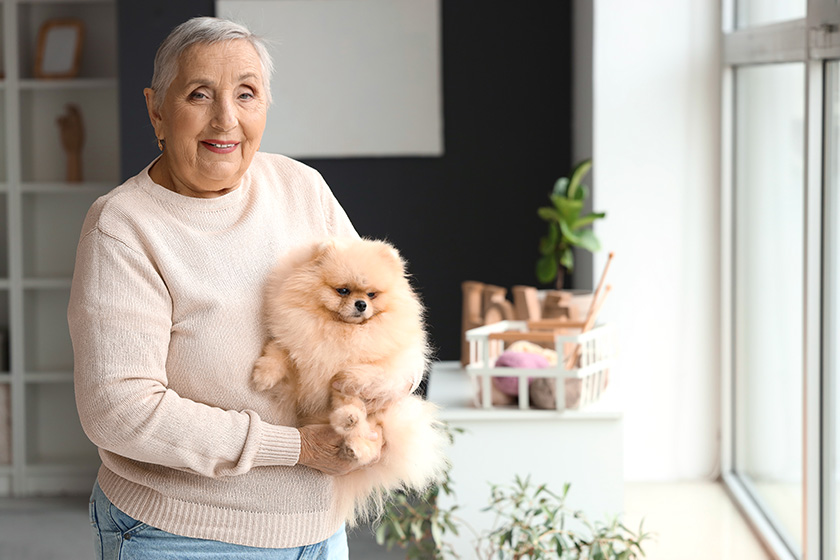 Where To Find Pet-Friendly Senior Apartments In Marietta, GA