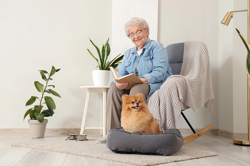 A Guide To Pet-Friendly Assisted Living